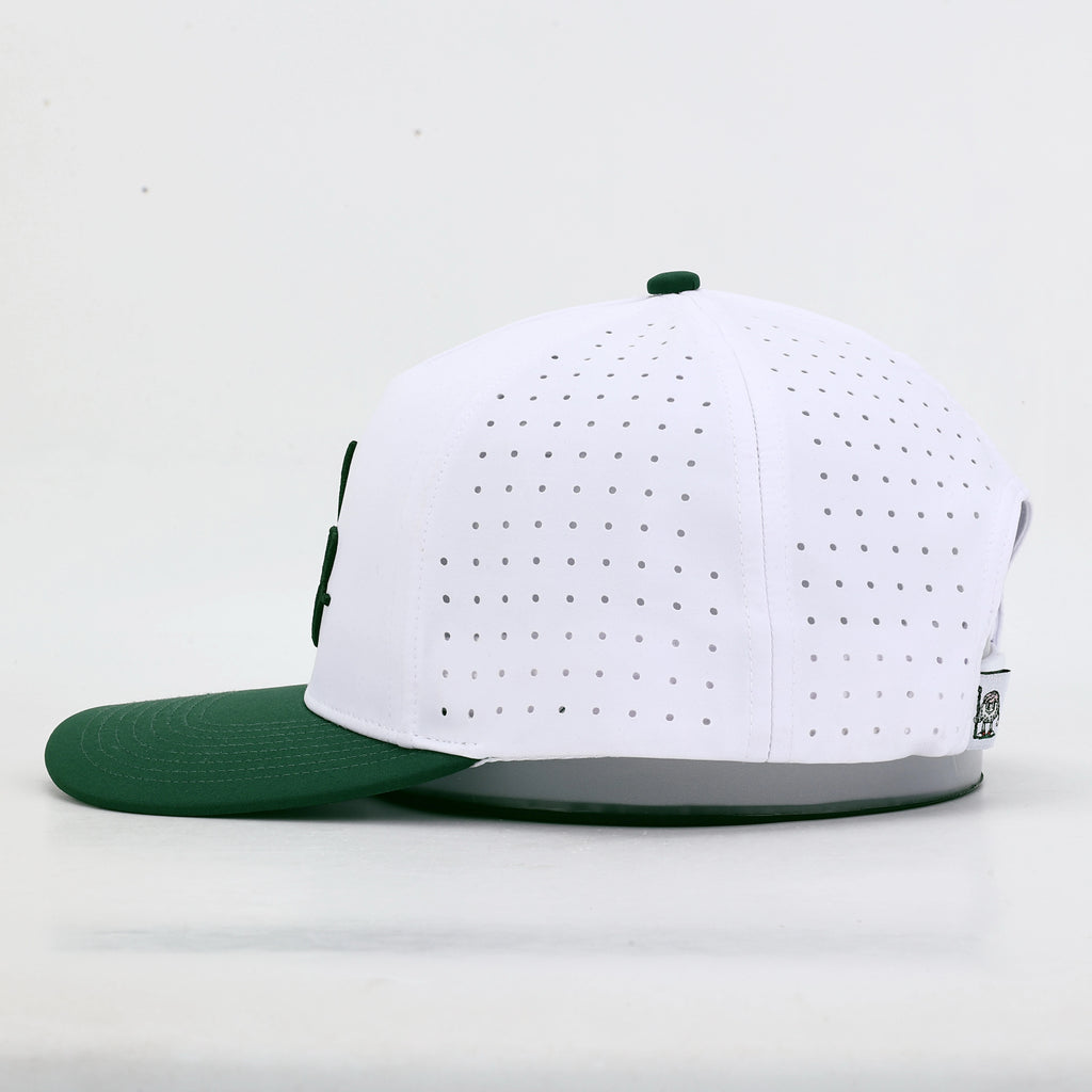 Performance Cap